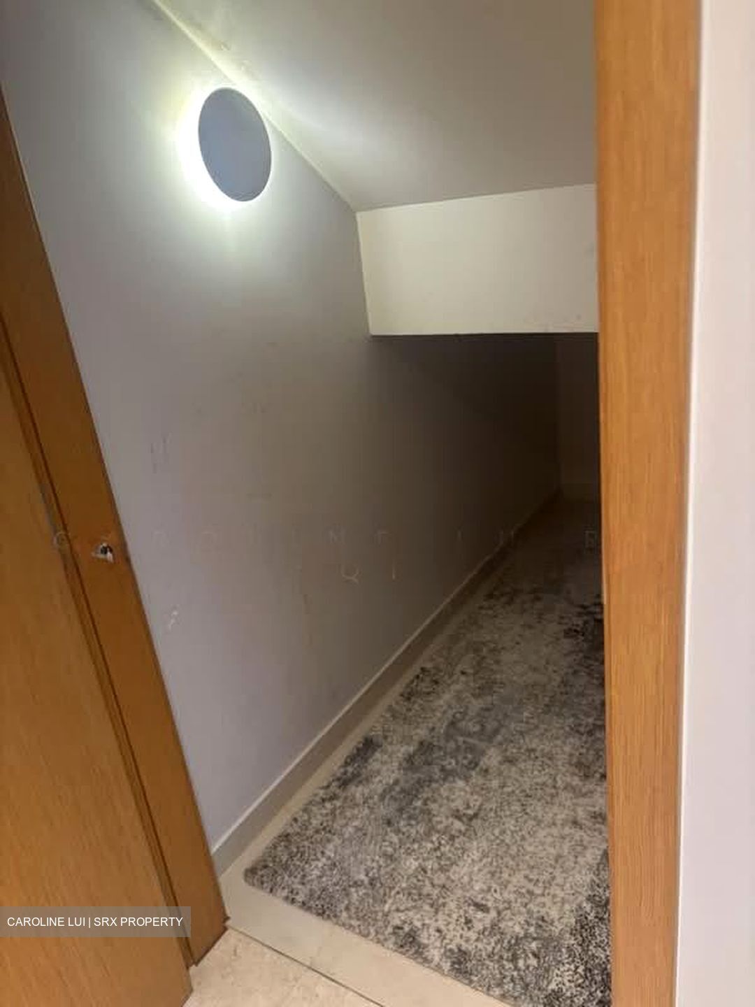 Mon Jervois (D10), Condominium #593047941